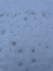 snow on the window