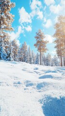 Fototapeta premium Winter wonderland adventure snowy landscape nature photography clear blue sky ground level view fluffy snowdrifts and soft billowy snowbanks