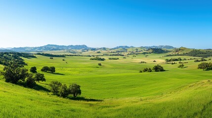 Obraz premium Sustainable agriculture practices lush green farm field nature landscape under clear blue sky panoramic view eco-friendly farming methods
