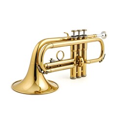 Obraz premium Shiny Brass Trumpet – Classical Musical Instrument