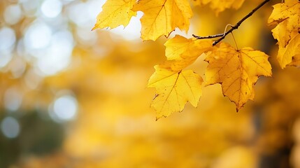 Obraz premium Vivid Autumn Leaves Turning Bright Yellow on a Gentle Breeze in Nature : Generative AI