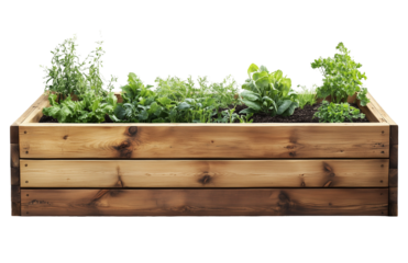 herbs and spices growing in a wooden box