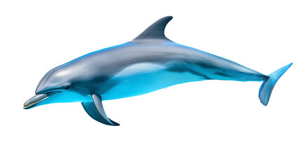 Fototapeta premium Graceful Dolphin in Ocean Wildlife Stock Photo on transparent background.