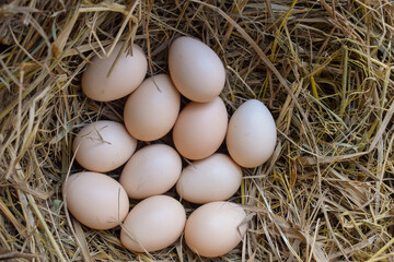 Several fresh white eggs in straw in a cardboard box. Organic chicken eggs. Easter concept.