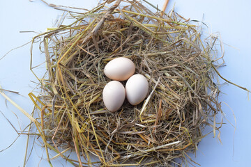 Straw nest containing white eggs, top view isolated on white background. suitable for Happy Easter Decoration, template for tag, gift greeting card, advertising promo shopping banner.