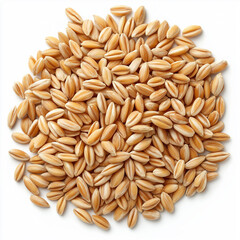 Obraz premium Wheat Isolated on white Background