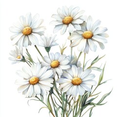 Delicate Bouquet of White Watercolor Daisies Against a Soft White Backdrop