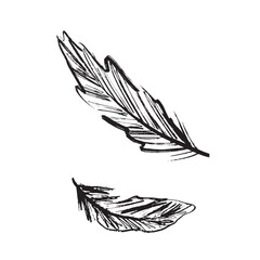 Bird feather drawing in black brush stroke texture isolated on white background. Hand drawn vector sketch illustration in vintage charcoal ink. Bird part, weightless symbol, pillow filling