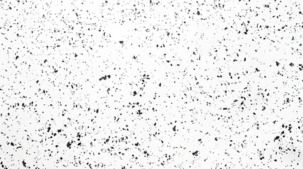 Close-up of grey terrazzo surface with natural and organic texture, featuring small rocks scattered throughout. Plain white background highlights the color contrast and intricate details.