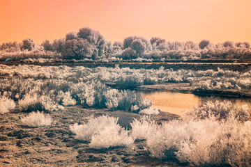 Infrared photography, a serene landscape featuring a body of water surrounded by vegetation and the sky is tinted with a warm orange hue
