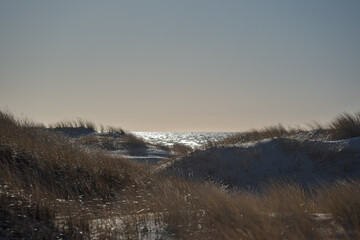 Fototapeta premium Dry grass on dunes by Baltic sea.
