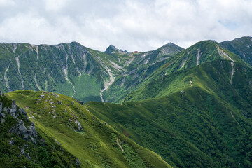 Fototapeta premium 夏の風景