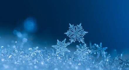 Fototapeta premium Macro shot of blue snowflakes, winter season