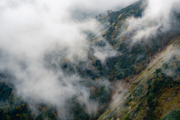 Obraz premium 秋の風景