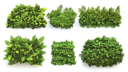 Naklejka premium set of verdant garden bushes with varied leaf detls and natural textures, rendered as crisp on white background
