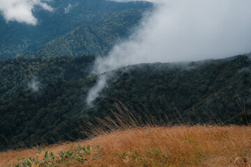 秋の風景