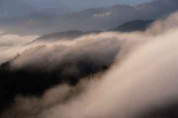 秋の風景