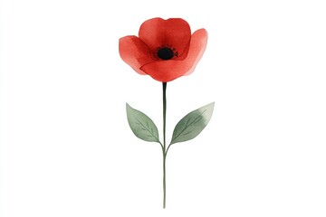 Beautiful red poppy flower illustration with delicate leaves, perfect for seasonal decor, nature themed designs, and floral patterns