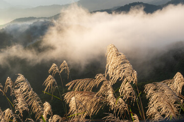 秋の風景