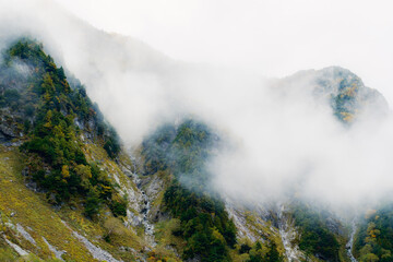 秋の風景