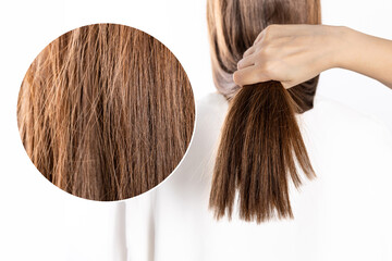 Texture of damaged female hair after sun on white background. Concept loss color and protein