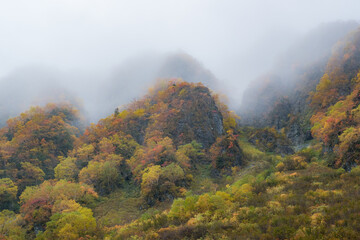 秋の風景