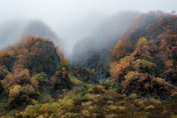 秋の風景