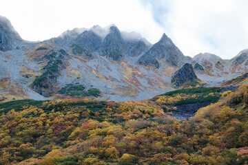 秋の風景