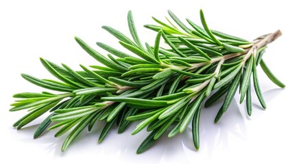 Fototapeta premium Fresh rosemary sprigs, digitally enhanced, against a crisp white backdrop, perfect for a culinary still life.