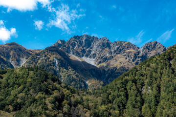 Obraz premium 秋の山の風景