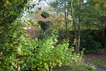 Les Jardins de Castillon, Plantbessin, Castillon , 14, Calvados, France