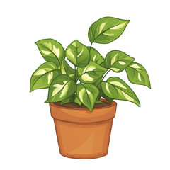 Isolated Potted Plant with Striped Green Leaves