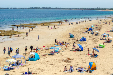 A busy beach at Queenscliff on a warm summer day, with beachgoers and their umbrellas and beach tents spread along the sandy shoreline, enjoying various beach activities. Victoria, Australia.