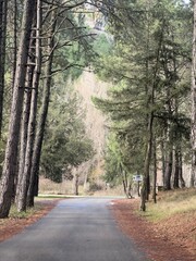 Rio Lobos Canyon (Soria, Spain)