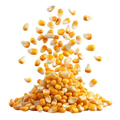 Falling Corn Seeds Isolated on White Background, Fresh and Natural