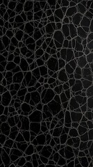 Fototapeta premium Stunning Black Leather Texture with Intricate Design for Upholstery and Accessories