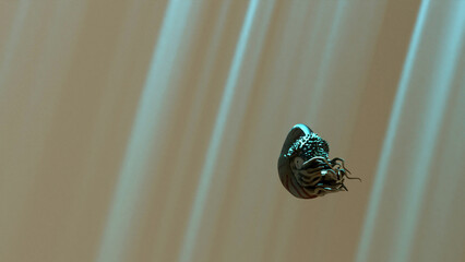 A nautilus shell is swimming in a deep sea with light ray in background (3D Rendering)