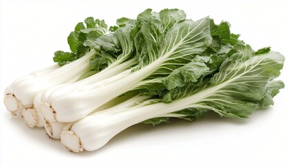 Fresh Green Leafy Vegetable Stalks with Crisp Texture on a Light Background for Culinary Use and Health Benefits