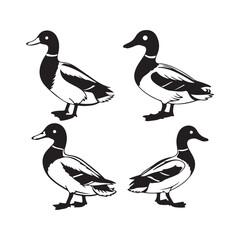 Modern floating duck and hunting logo. Vector illustration.