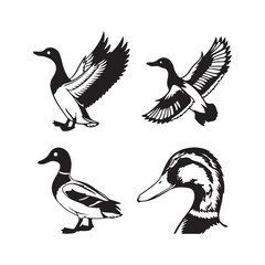 Fototapeta premium Modern floating duck and hunting logo. Vector illustration.