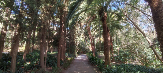 Green pathways in Jardin Botanico La Concepcion, Malaga, Spain