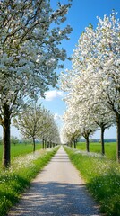 Scenic Tree-Lined Pathway with Blossoming Flowers and Blue Sky