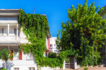 Büyükada Island  Istanbul  Turkey  Travel Photography  Scenic Island Views  Princes’ Islands  Nature and History  Vacation Destination