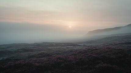 Obraz premium Serene Misty Landscape at Dawn with Soft Colorful Hues and Tranquility