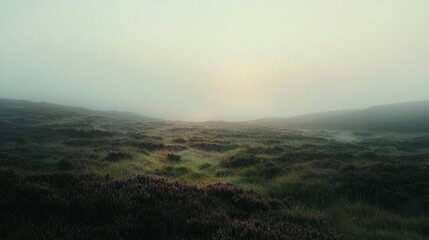 Misty Landscape at Dawn with Rolling Hills and Soft Greenery