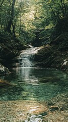 Serene Forest Stream with Cascading Waterfall and Clear Pool