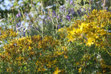 
a beautiful bouquet of flowers with lots of yellow and purple flowers.