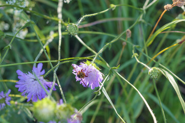 
a beautiful flower bouquet with many different flowers including yellow flowers.