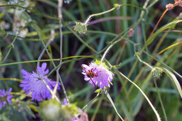 
a beautiful flower bouquet with many different flowers including yellow flowers.