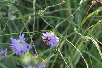 
a beautiful flower bouquet with many different flowers including yellow flowers.